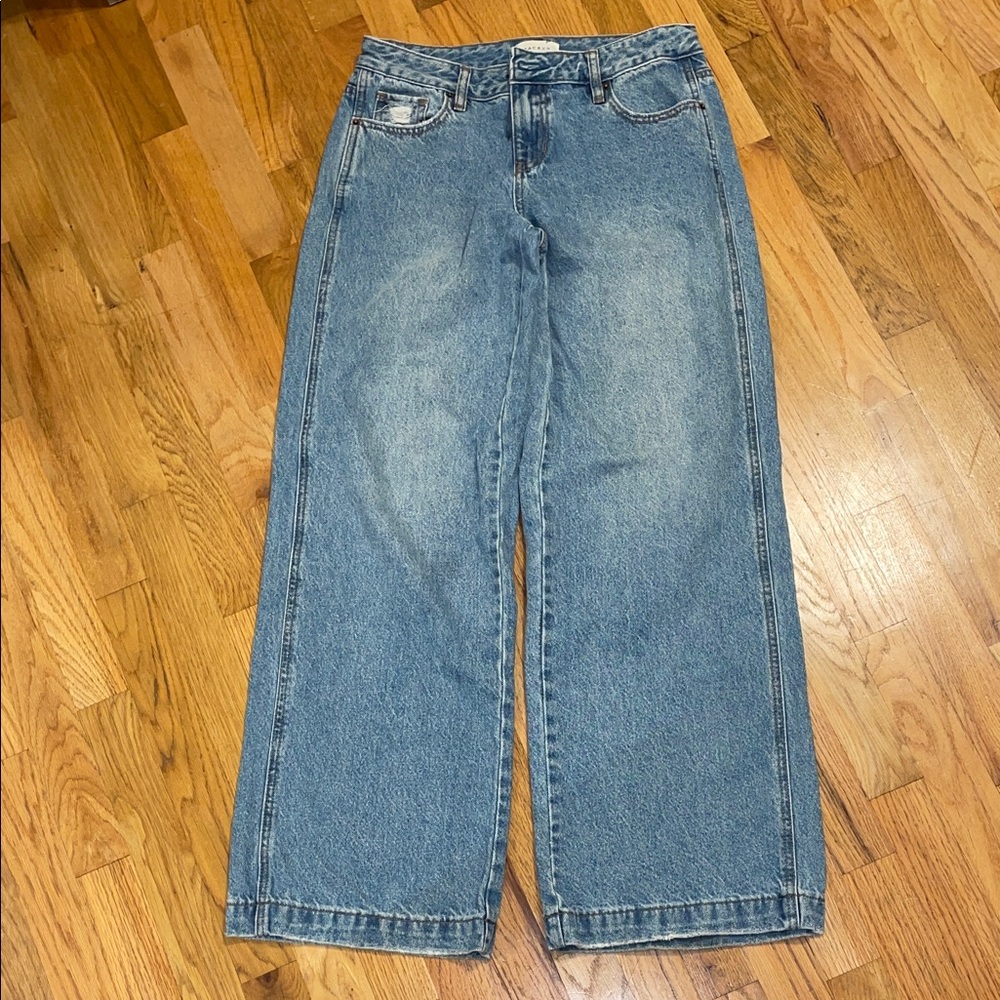 PacSun Blue Casey Low Rise Baggy Jeans